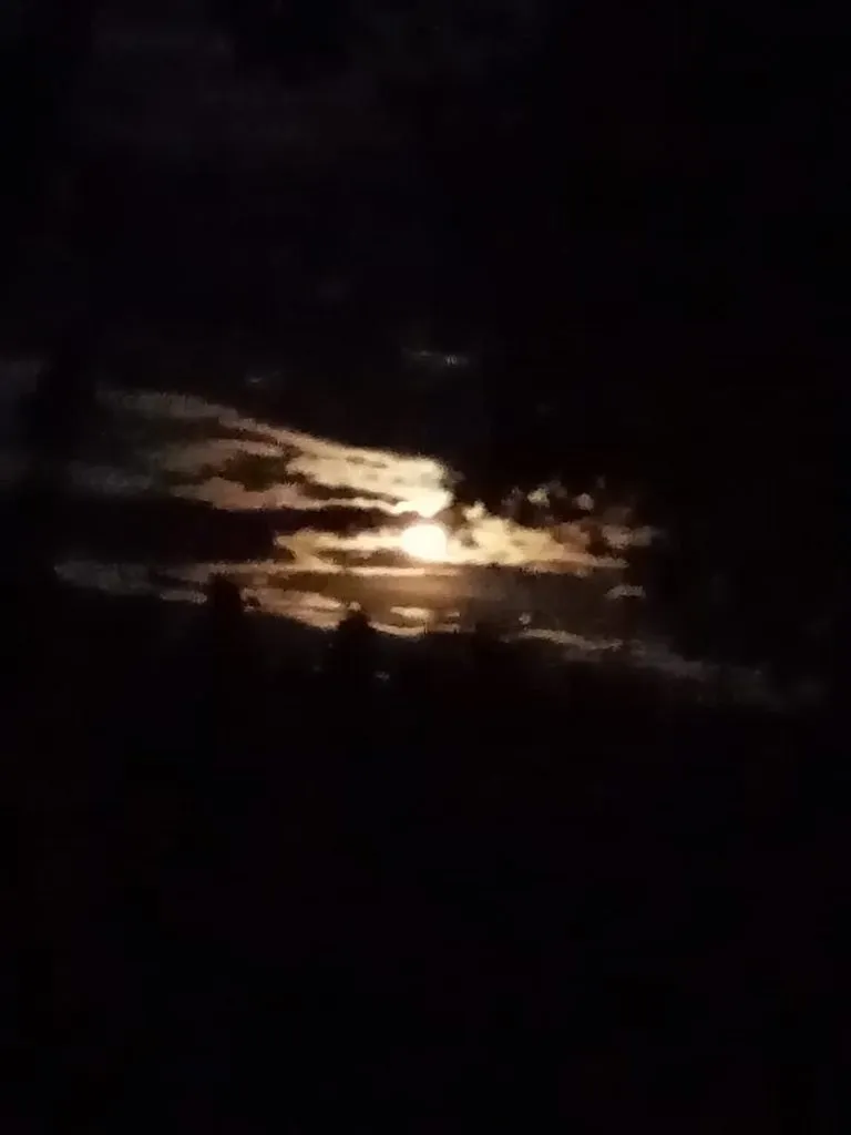Чайная беседка