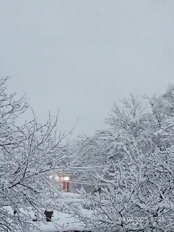 Чайная беседка