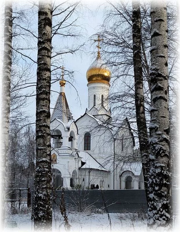 Tapтaлeтки & Ко