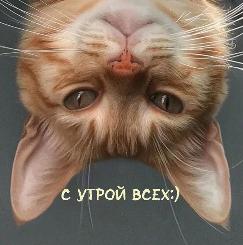 Кафе "У пани Сони"