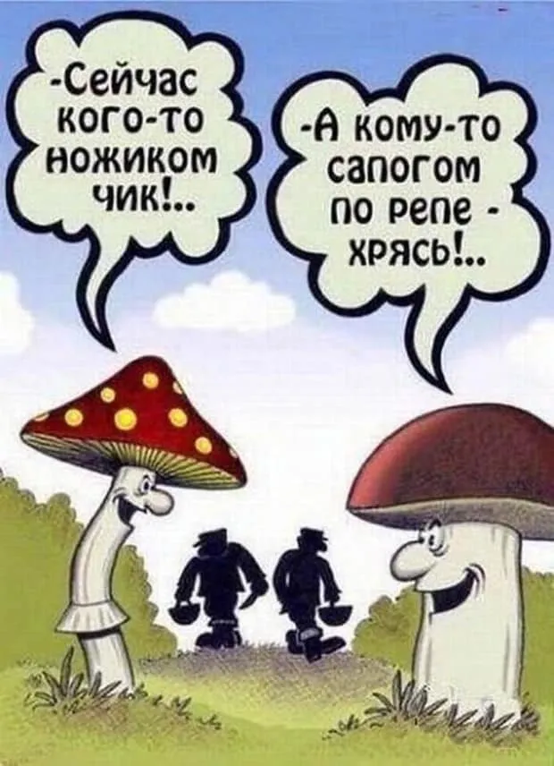 По грибы с лукошком