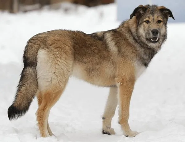 Рассказы для души