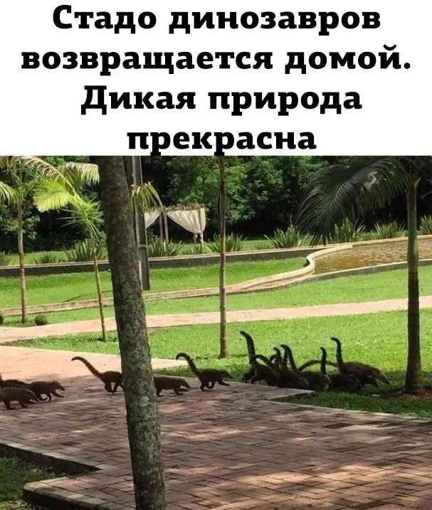 Посмеялся сам - поделись с другом!!!