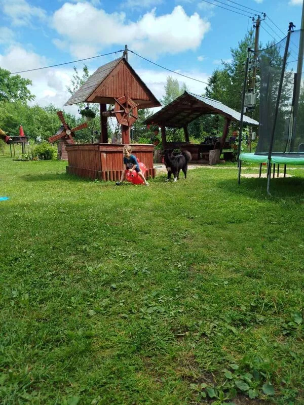 Tapтaлeтки & Ко