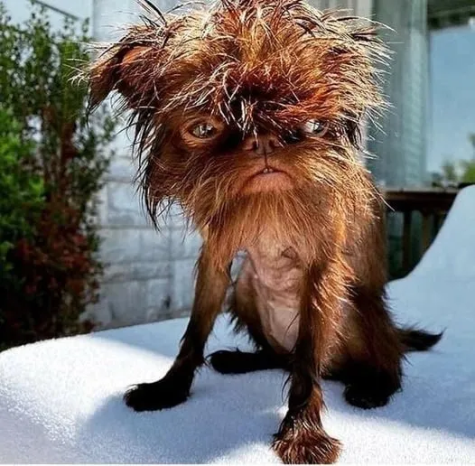 Посмеялся сам - поделись с другом!!!