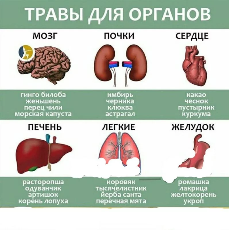 Медицинская инфографика
