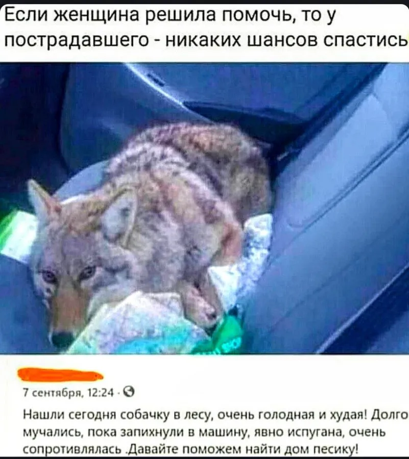 Посмеялся сам - поделись с другом!!!