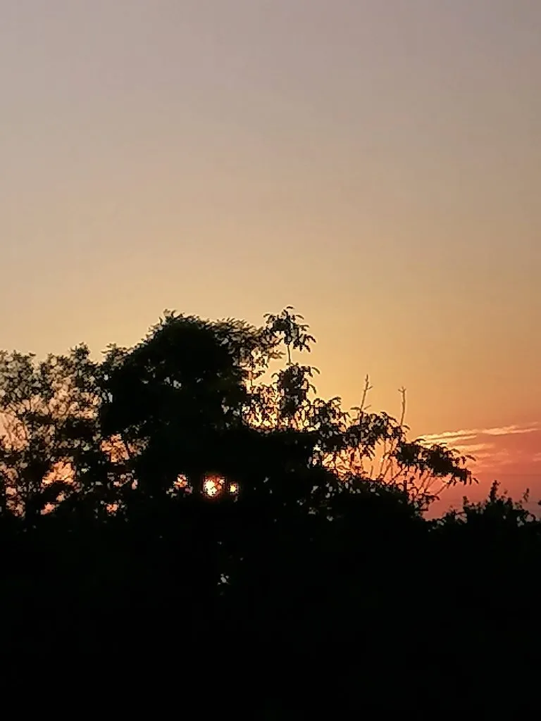 Чайная беседка