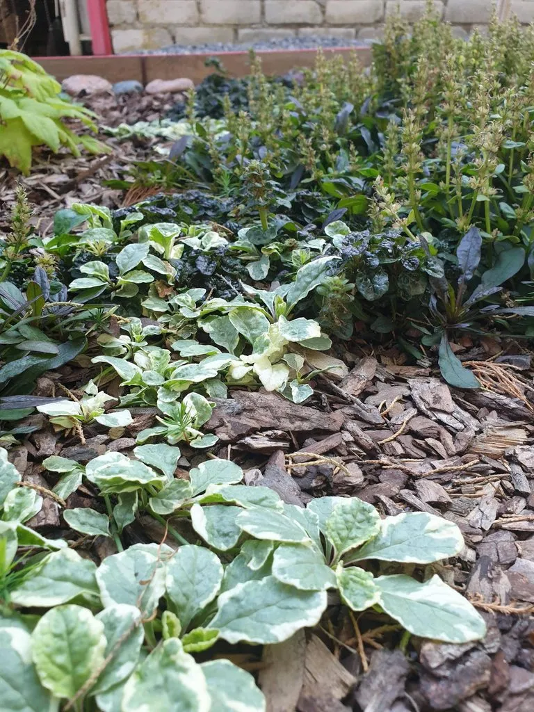 Чайная беседка