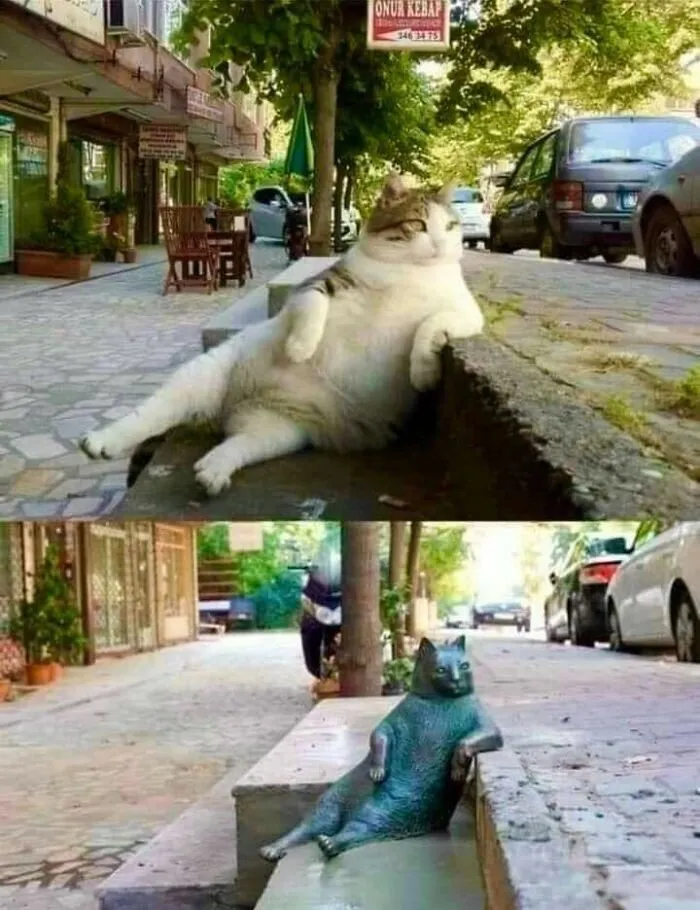 Запечатленная история