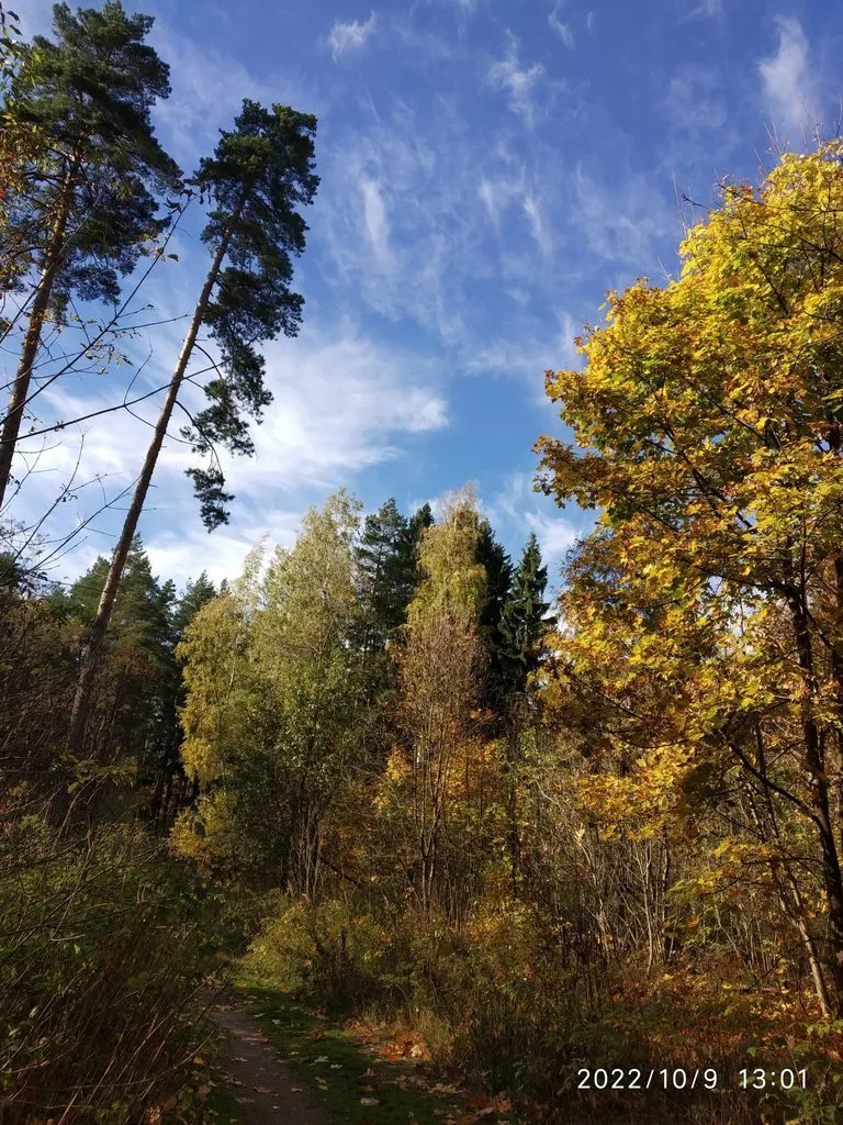 Чайная беседка