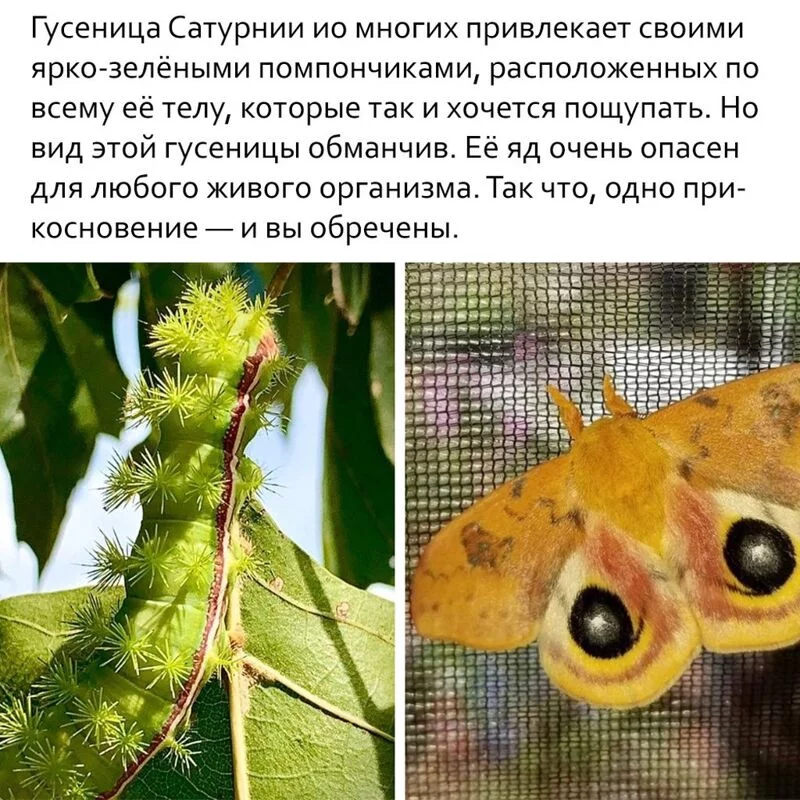 Это интересно!