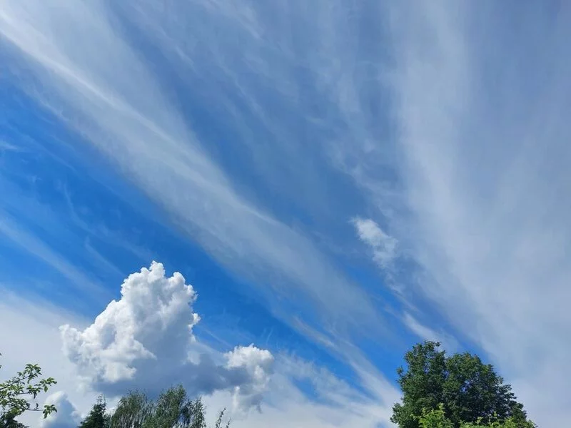 Такое разное небо