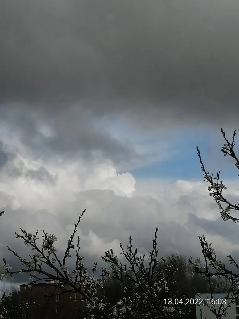 Чайная беседка