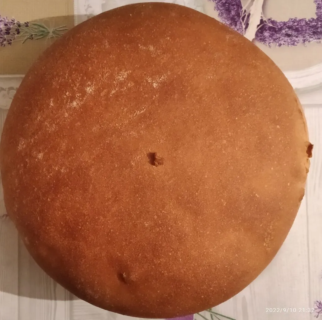 Tapтaлeтки & Ко