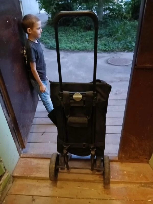 Хозяйственные сумки-тележки