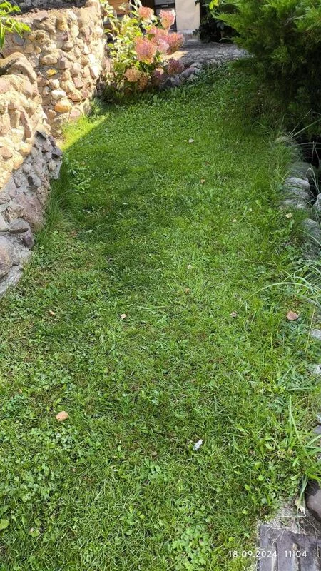 Чайная беседка