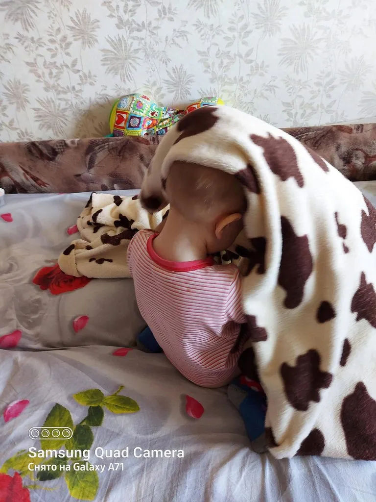 Tapтaлeтки & Ко