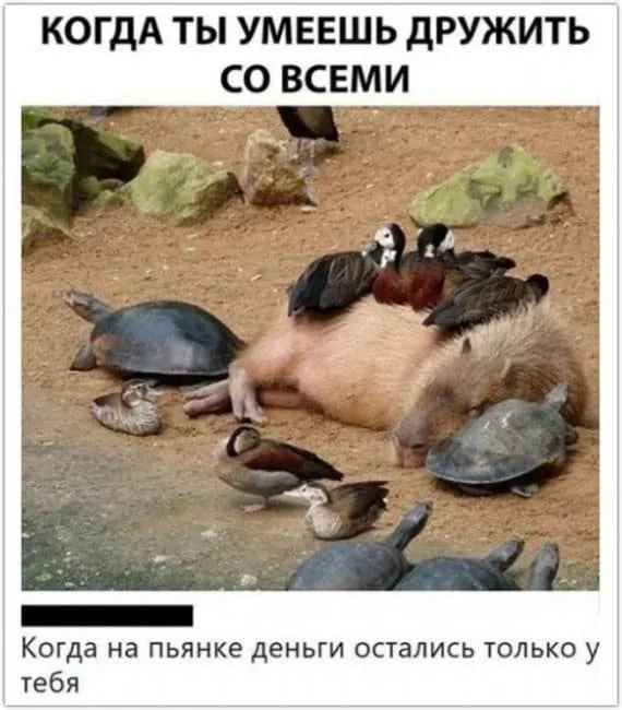 Посмеялся сам - поделись с другом!!!