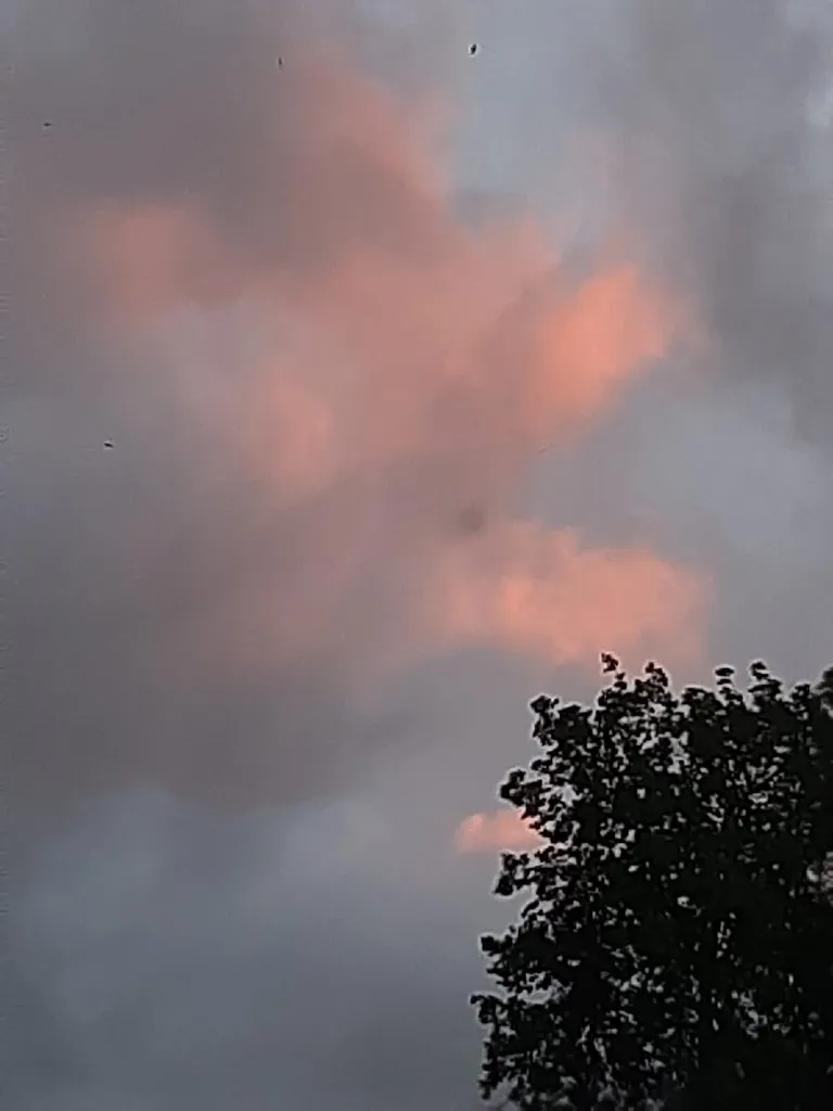 Такое разное небо