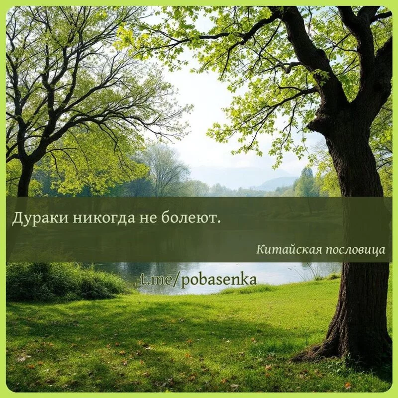 «Дураки никогда не...» height="550" width="550"