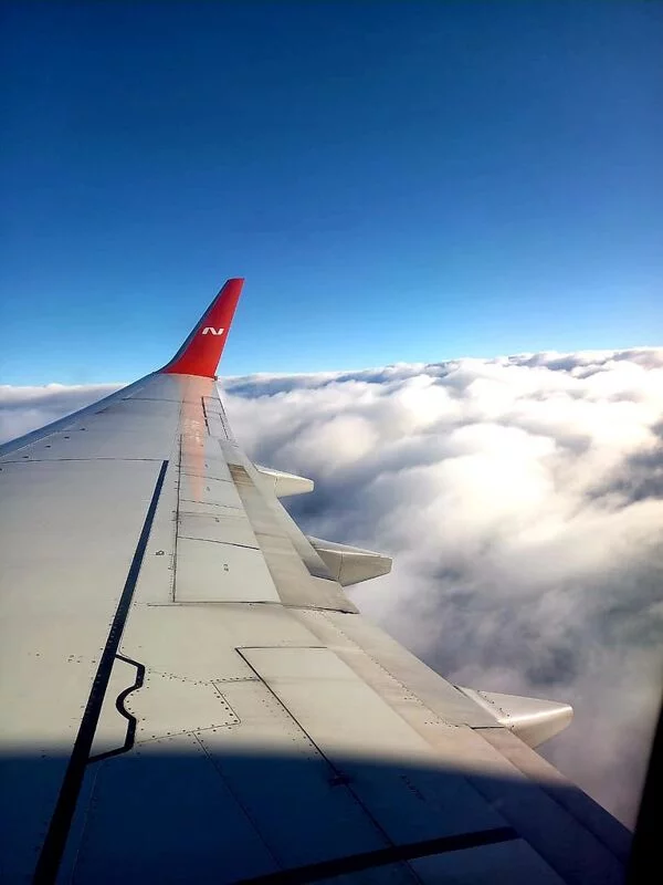 Такое разное небо