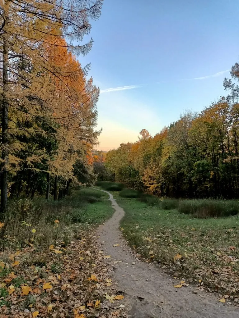 Чайная беседка