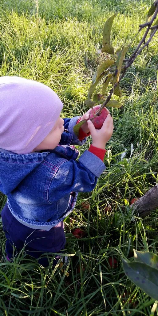Кафе «У пани Сони»
