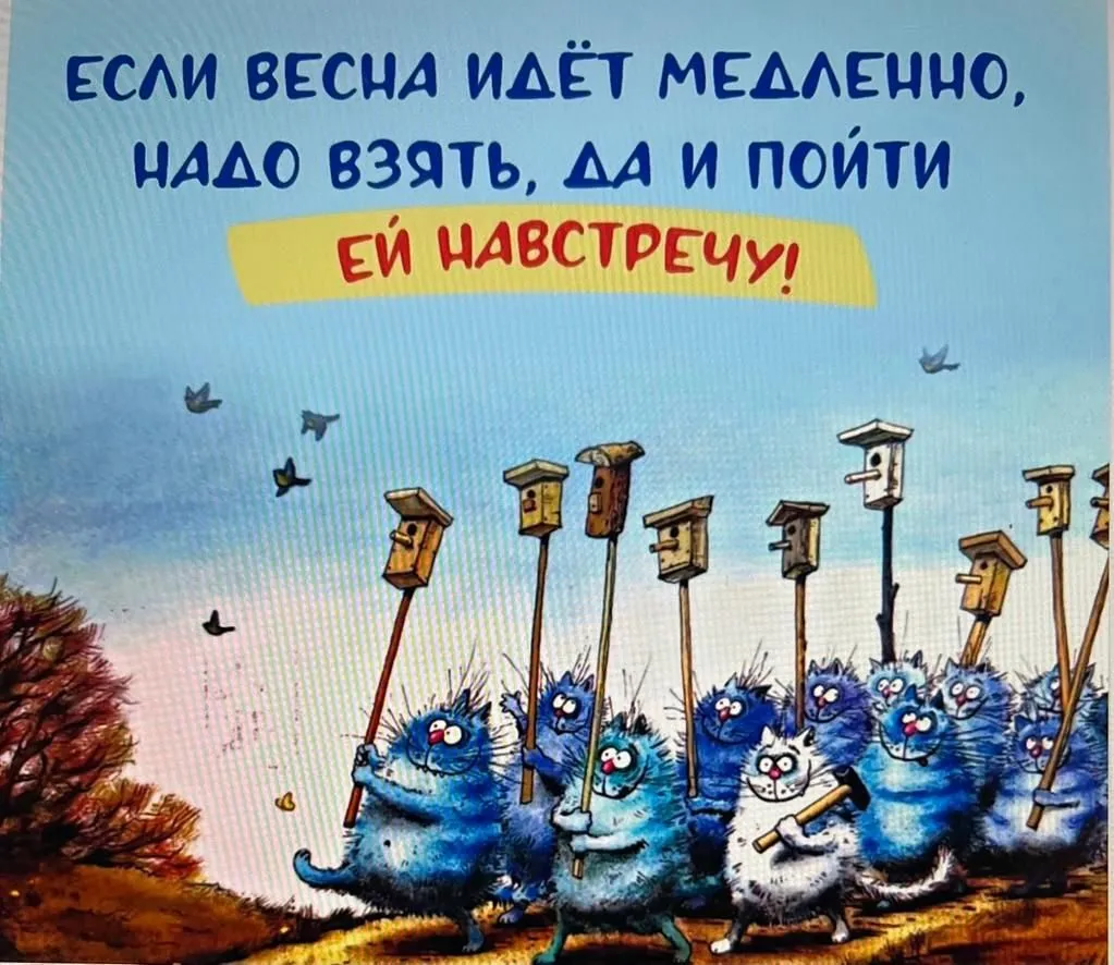 Позитивчик (фото, видео, рассказы для хорошего настроения)