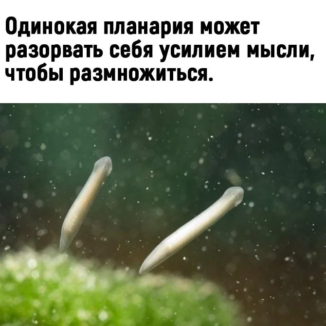 Это интересно!