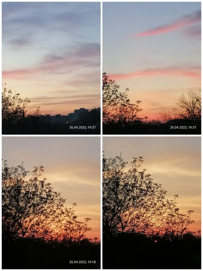 Чайная беседка