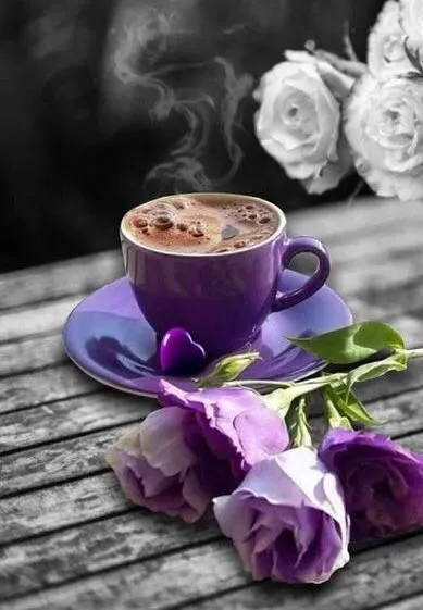 Tapтaлeтки & Ко