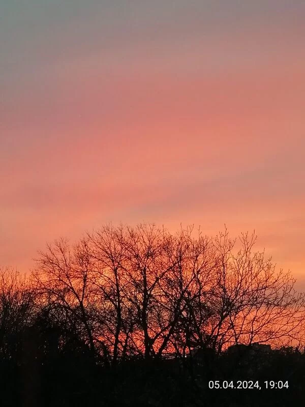 Такое разное небо