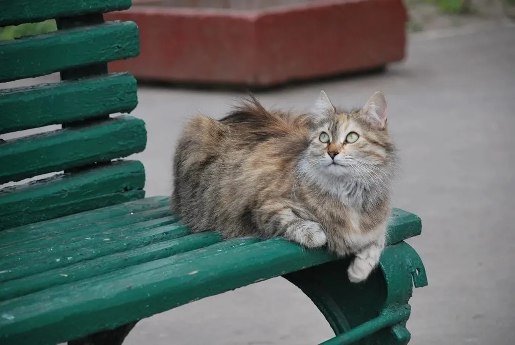 Рассказы для души