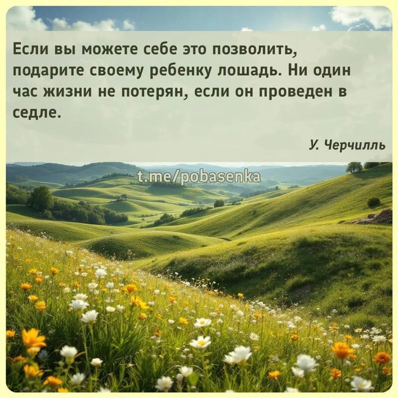 «Если вы можете себе это позволить, подарите своему ребенку лошадь. Ни один час жизни не потерян, если он проведен в...» height="550" width="550"