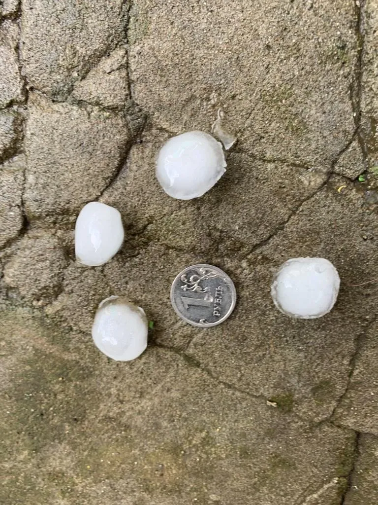 Чайная беседка