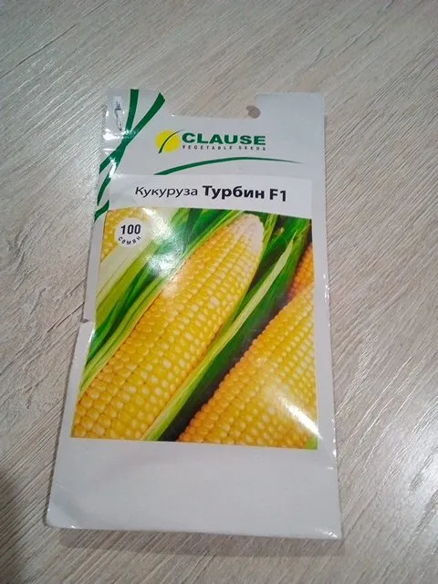 Пора выращивать рассаду