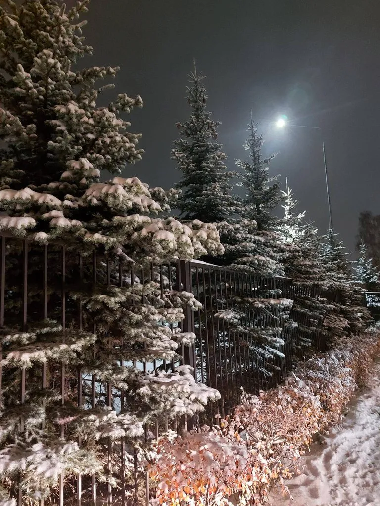 Чайная беседка