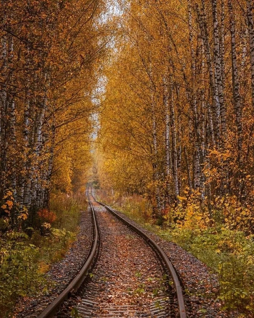Арт галерея