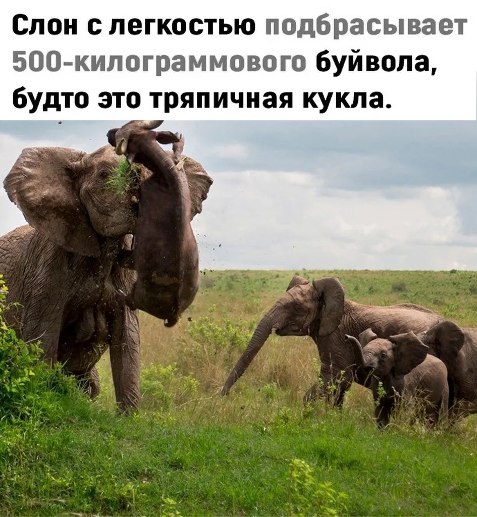 Это интересно!