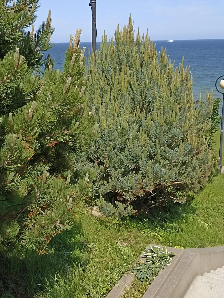 Калининградская область (не только море и янтарь) 