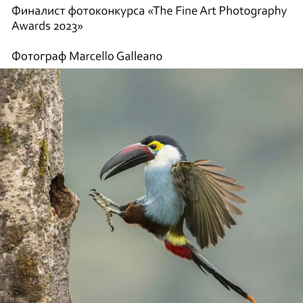 Это интересно!