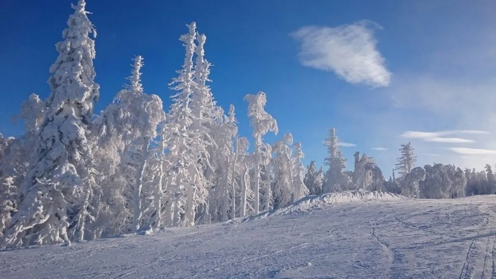 Такое разное небо