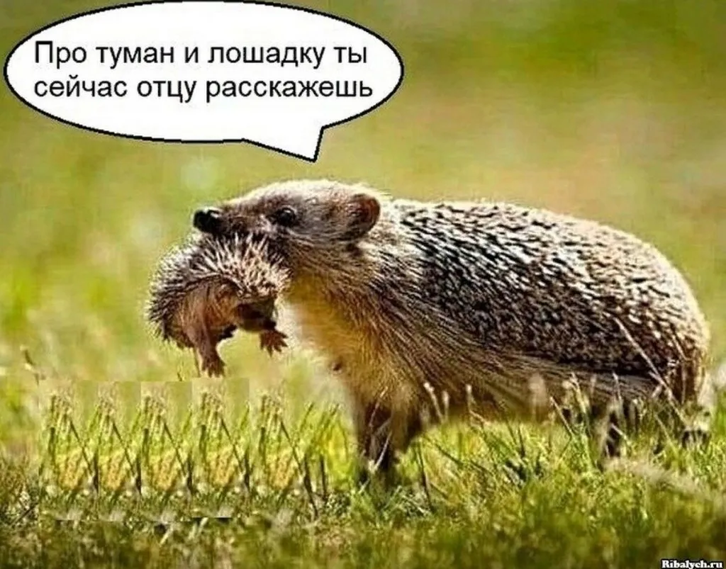 Посмеялся сам - поделись с другом!!!