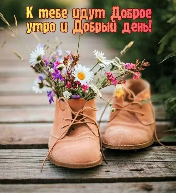 Кафе «У пани Сони»