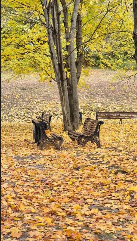 Коломенское