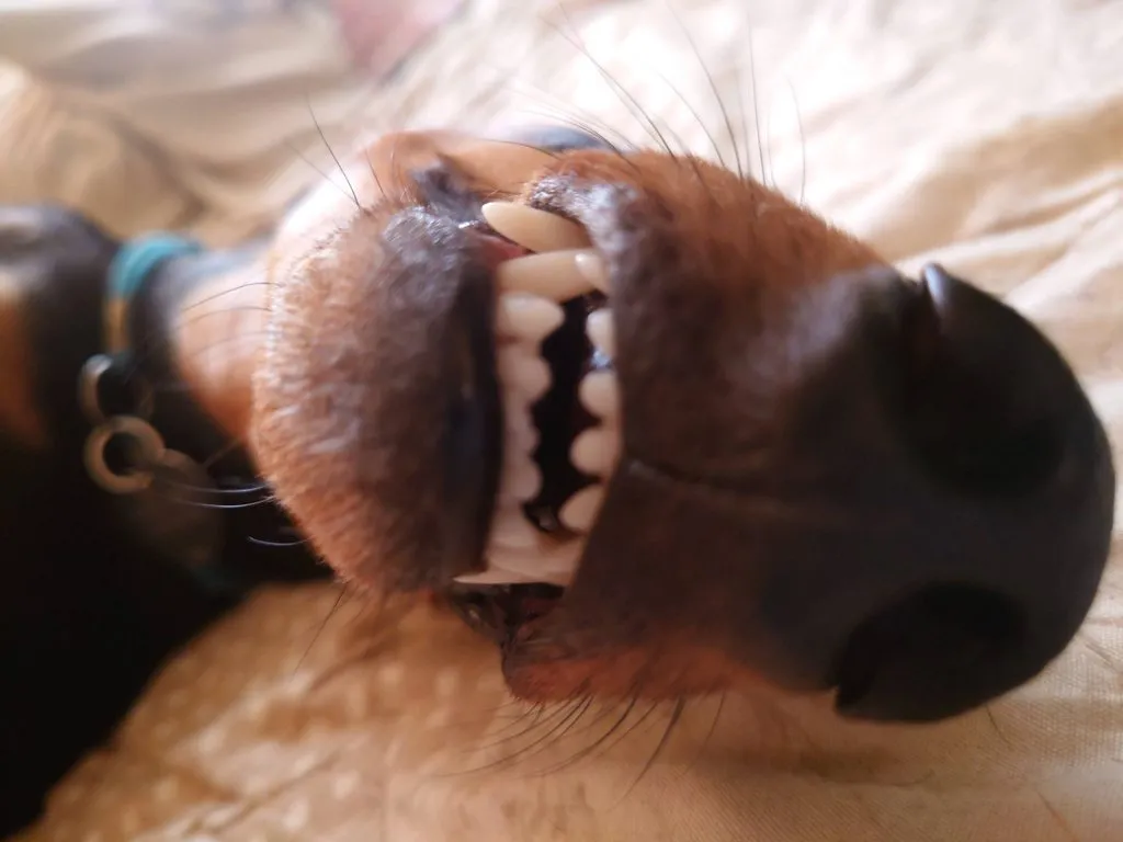 Живой Журнал Жульена