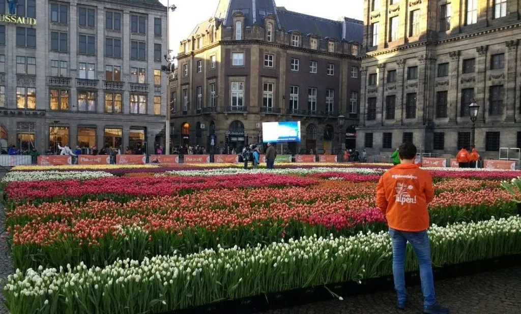 Чайная беседка