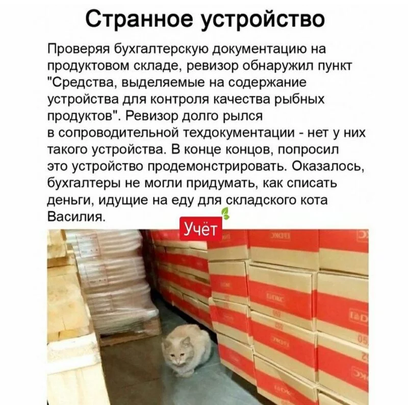 Посмеялся сам - поделись с другом!!!