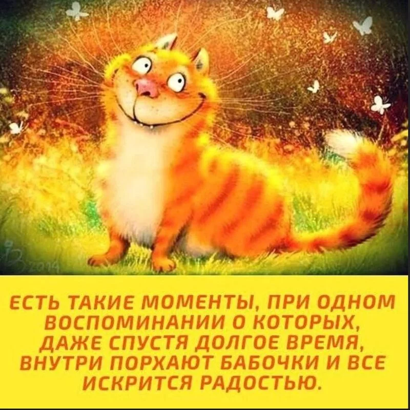Позитивчик (фото, видео, рассказы для хорошего настроения)